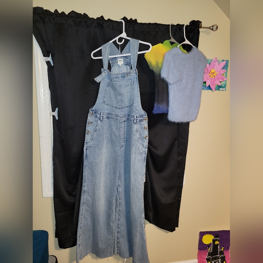 American Eagle Wide Leg overalls
